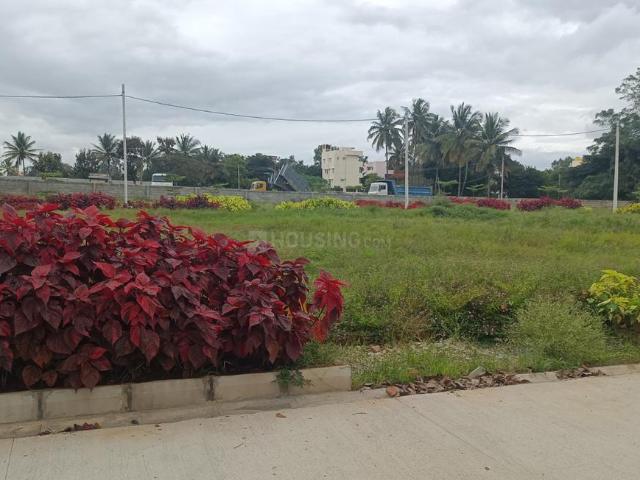 2 BHK Villa in Vidyanagar for rent Bengaluru. The reference number is 20391324