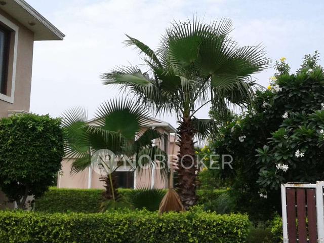 2 BHK Villa In Mansha Greens for Rent In Bamni Khera Palwal