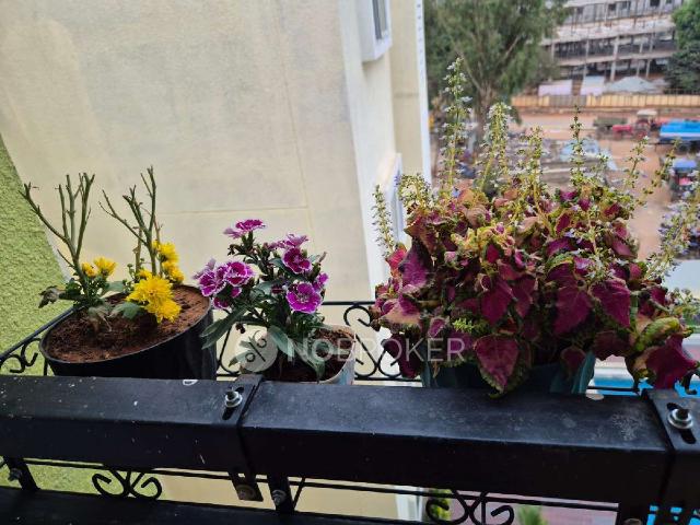 2 BHK Villa In Sonestaa Melody for Rent In Balagere