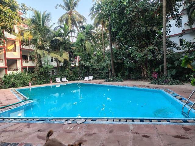 2 BHK Apartment in Calangute for rent Goa. The reference number is 20823693