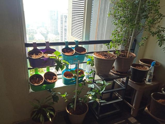 2 BHK Apartment in Andheri West for rent Mumbai. The reference number is 19350390