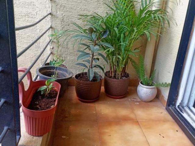2 BHK Apartment in Arakere for resale Bangalore. The reference number is 16617594