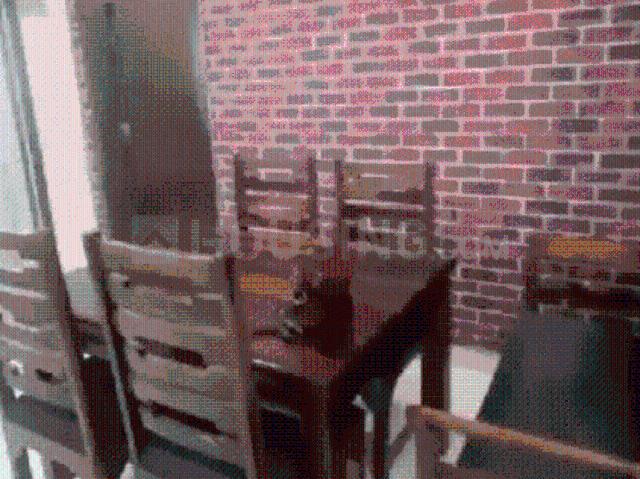 2 BHK Apartment in Bawadiya Kalan for rent Bhopal. The reference number is 20603513