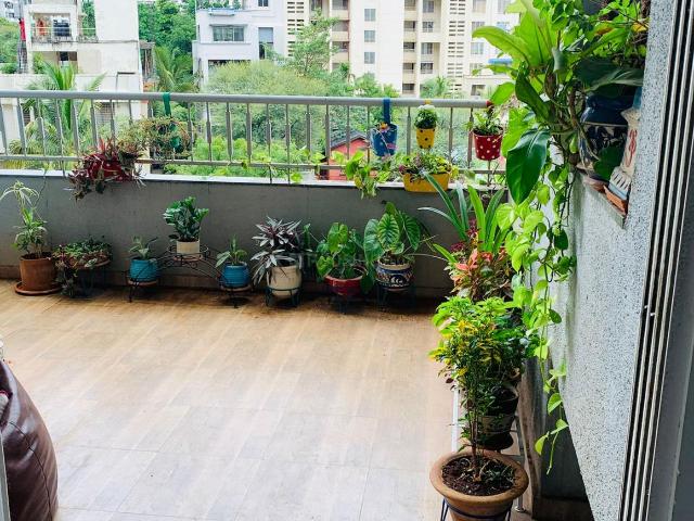 2 BHK Apartment in Balewadi for rent Pune. The reference number is 20985616
