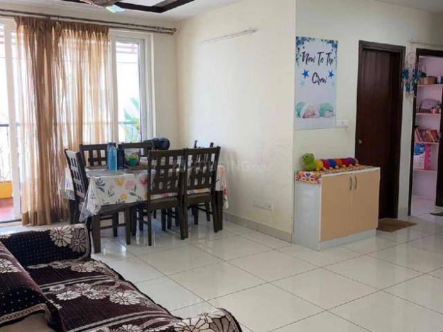 2 BHK Apartment in Bellandur for rent Bengaluru. The reference number is 20198160