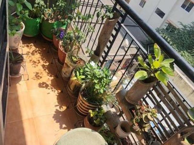 2 BHK Apartment in Bellandur for rent Bengaluru. The reference number is 20398002