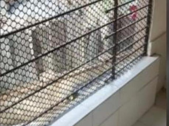 2 BHK Apartment in Goregaon East for rent Mumbai. The reference number is 20482135