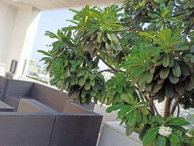 2 BHK Apartment in Dadar East for resale Mumbai. The reference number is 18645160