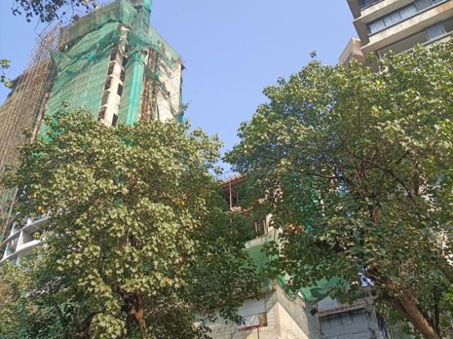 2 BHK Apartment in Dadar West for resale Mumbai. The reference number is 13753869