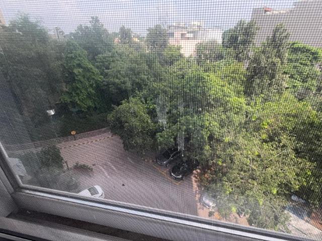 2 BHK Apartment in DLF Phase 1 for rent Gurgaon. The reference number is 20818999