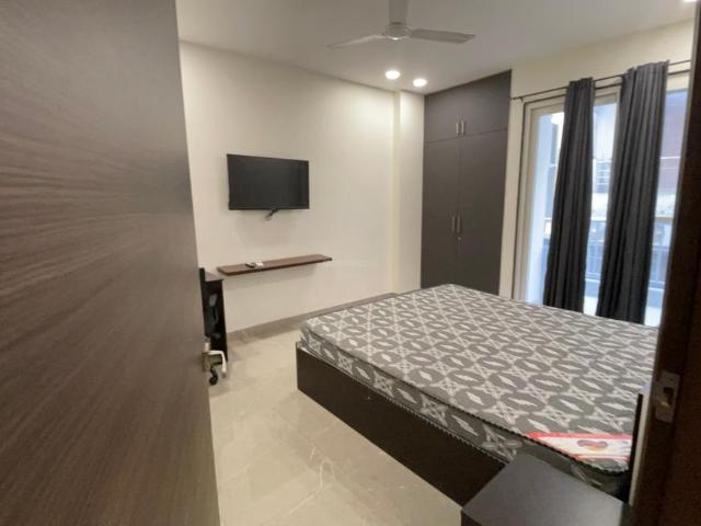 2 BHK Apartment in DLF Phase 3 for rent Gurgaon. The reference number is 20918303