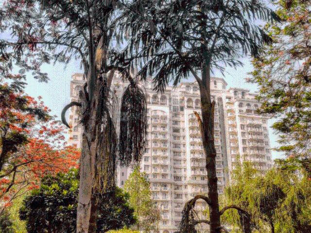 2 BHK Apartment in DLF Phase 4 for rent Gurgaon. The reference number is 20843523