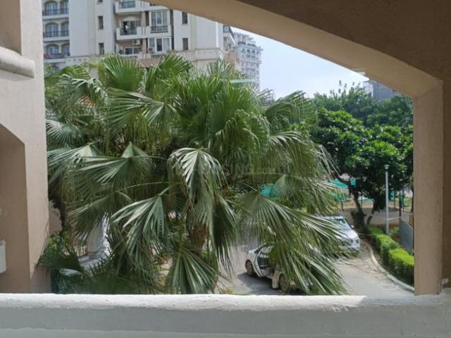 2 BHK Apartment in DLF Phase 4 for rent Gurgaon. The reference number is 20830213