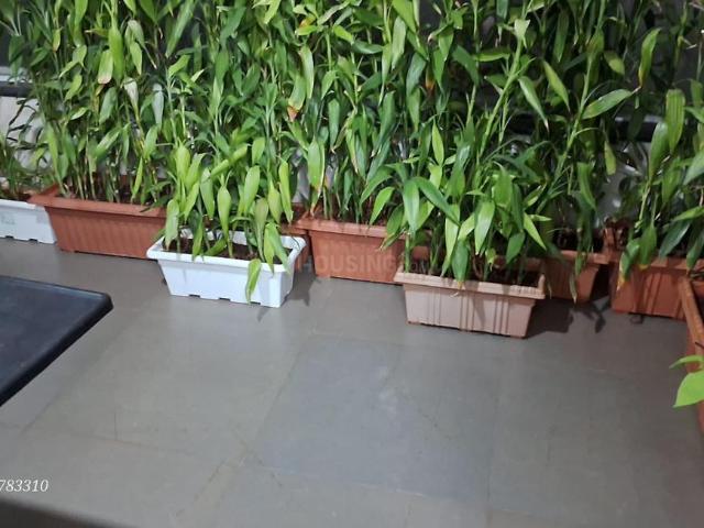 2 BHK Apartment in Kothrud for resale Pune. The reference number is 19318404