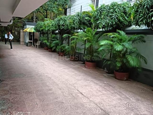 2 BHK Apartment in Kalighat for rent Kolkata. The reference number is 18777732