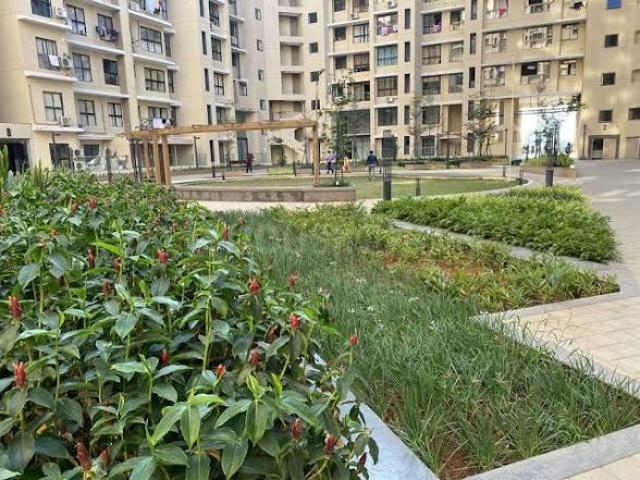 2 BHK Apartment in Kandivali East for rent Mumbai. The reference number is 20701794