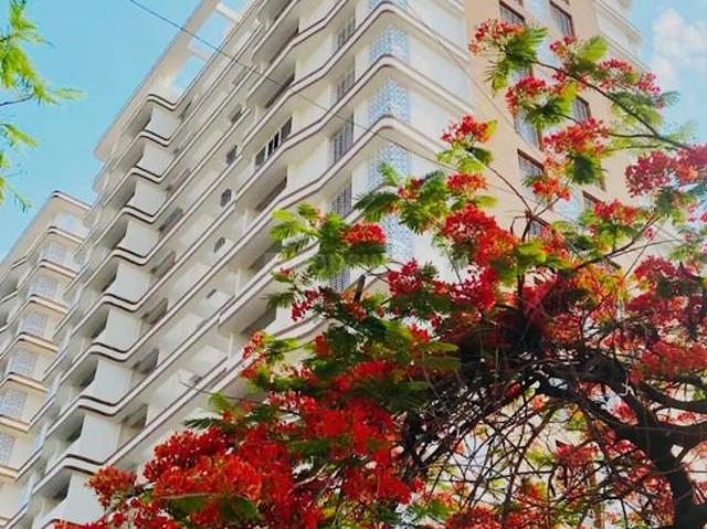 2 BHK Apartment in Kharadi for resale Pune. The reference number is 19998264