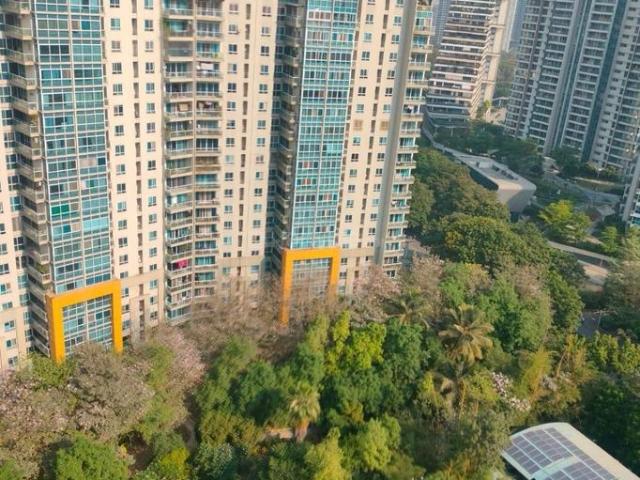 2 BHK Apartment in Hadapsar for rent Pune. The reference number is 19943553