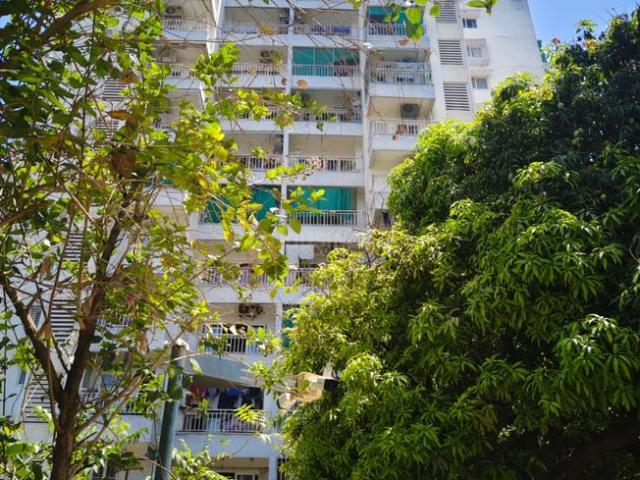 2 BHK Apartment in Jagatpur for resale Ahmedabad. The reference number is 20083476