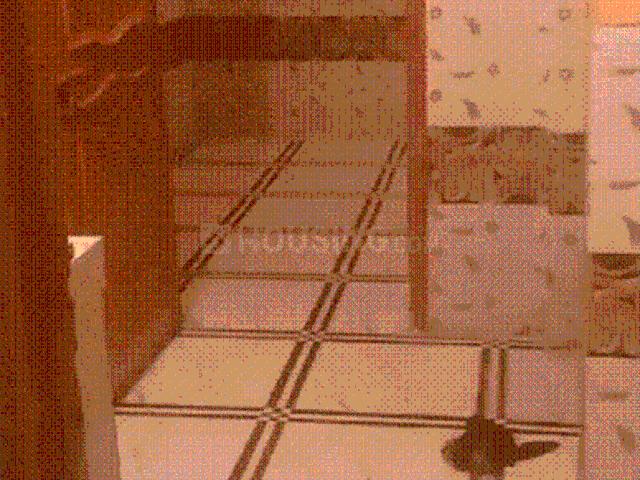 2 BHK Apartment in Jamia Nagar for resale New Delhi. The reference number is 15219906