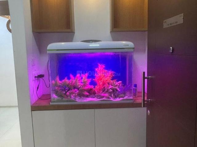 2 BHK Apartment in Mahalunge for rent Pune. The reference number is 20291719