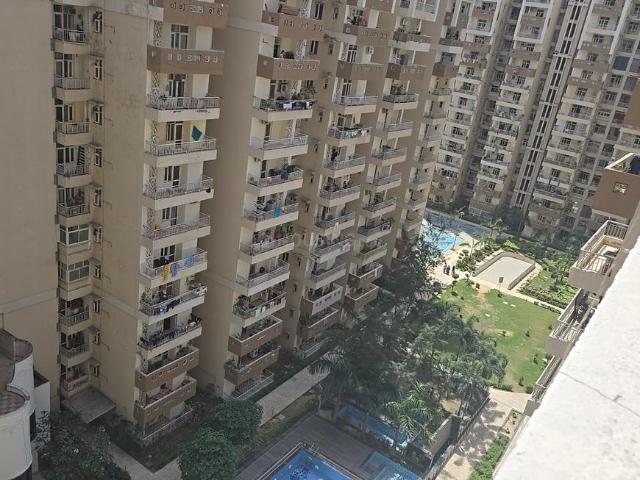 2 BHK Apartment in Noida Extension for rent Greater Noida. The reference number is 19811558