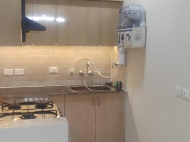 2 BHK Apartment in Noida Extension for rent Greater Noida. The reference number is 20689469