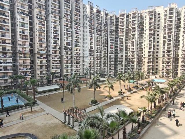 2 BHK Apartment in Noida Extension for rent Greater Noida. The reference number is 20705516