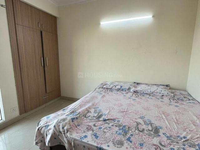 2 BHK Apartment in Noida Extension for rent Greater Noida. The reference number is 20759311