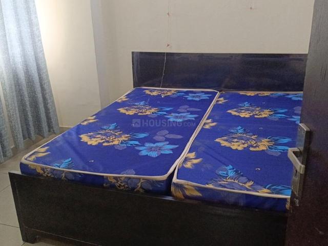 2 BHK Apartment in Noida Extension for rent Greater Noida. The reference number is 20876520