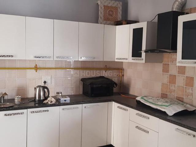 2 BHK Apartment in Noida Extension for rent Greater Noida. The reference number is 20972940