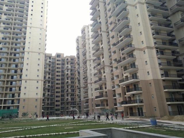 2 BHK Apartment in Noida Extension for rent Greater Noida. The reference number is 20053589