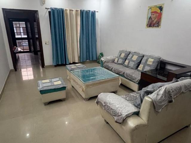 2 BHK Apartment in Nabha for rent Zirakpur. The reference number is 20411574