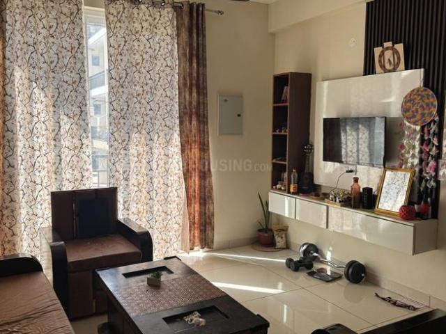 2 BHK Apartment in Nabha for rent Zirakpur. The reference number is 20524195