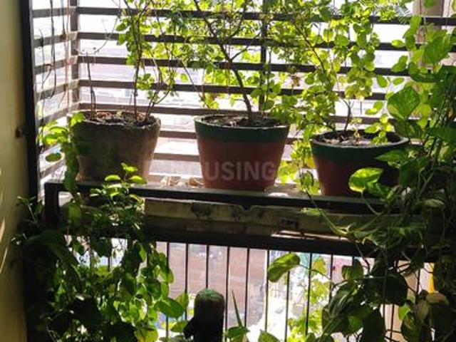 2 BHK Apartment in New Ranip for resale Ahmedabad. The reference number is 18419464