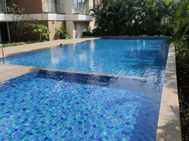 2 BHK Apartment in Nerul for rent Navi Mumbai. The reference number is 20261268