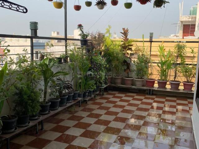 2 BHK Apartment in Saket for rent New Delhi. The reference number is 20753096