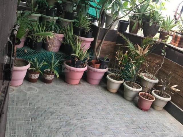 2 BHK Apartment in Sector PI for resale Greater Noida. The reference number is 12655204