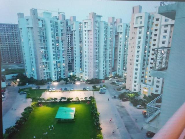 2 BHK Apartment in Sector 143 for rent Noida. The reference number is 17674018