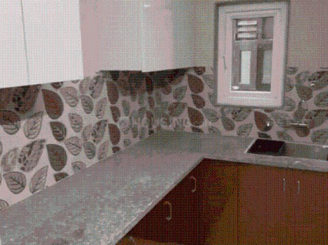 2 BHK Apartment in Sector 14 Dwarka for rent New Delhi. The reference number is 20966680
