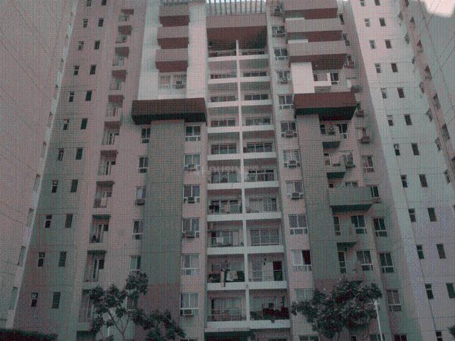 2 BHK Apartment in Sector 100 for rent Noida. The reference number is 20756299