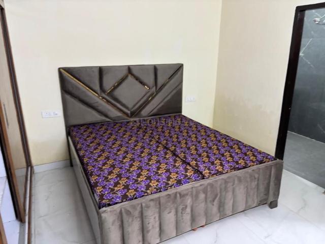 2 BHK Apartment in Sector 115 for rent Mohali. The reference number is 20456203