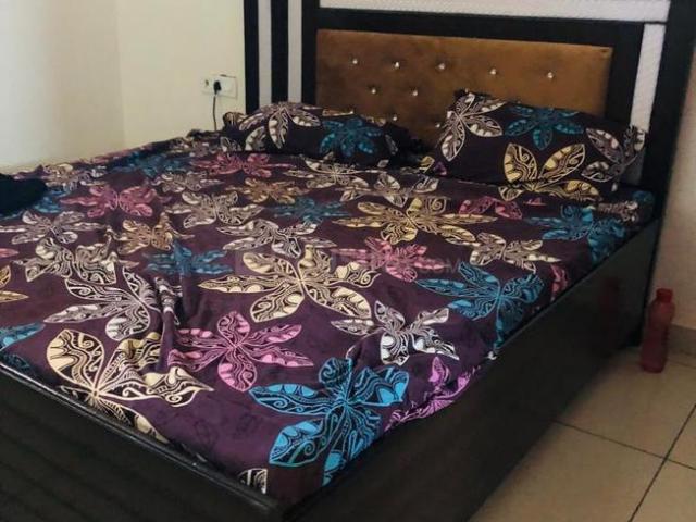 2 BHK Apartment in Sector 127 for rent Mohali. The reference number is 19544513