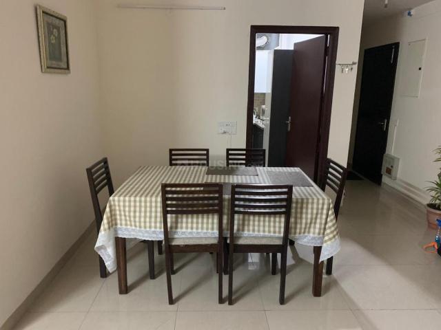 2 BHK Apartment in Sector 133 for rent Noida. The reference number is 20845494