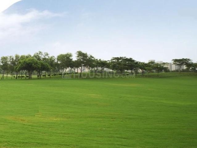 2 BHK Apartment in Sector 133 for rent Noida. The reference number is 20942185