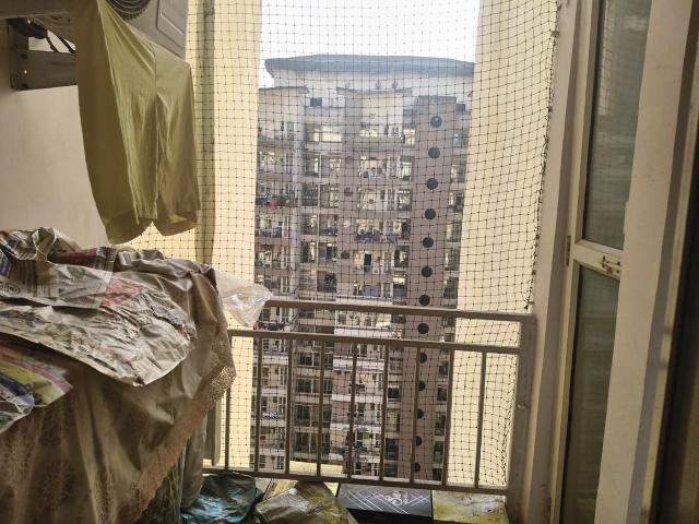 2 BHK Apartment in Sector 137 for rent Noida. The reference number is 19462315