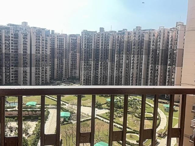 2 BHK Apartment in Sector 137 for rent Noida. The reference number is 19809552