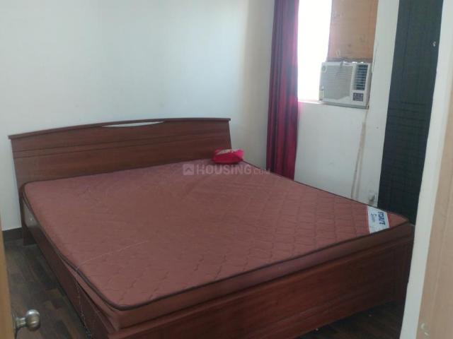 2 BHK Apartment in Sector 137 for rent Noida. The reference number is 19909641