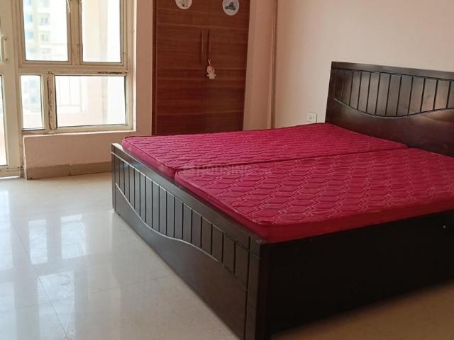 2 BHK Apartment in Sector 137 for rent Noida. The reference number is 20059330