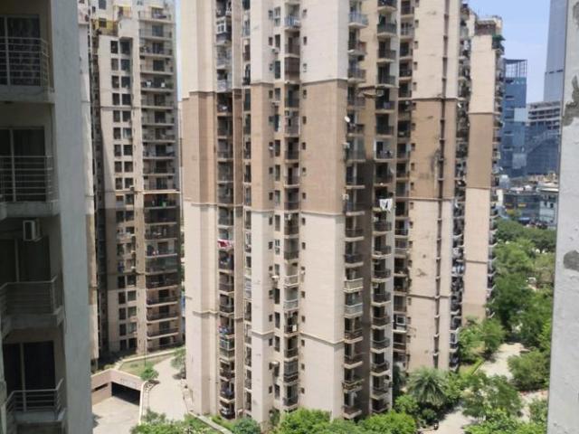 2 BHK Apartment in Sector 137 for rent Noida. The reference number is 20293928